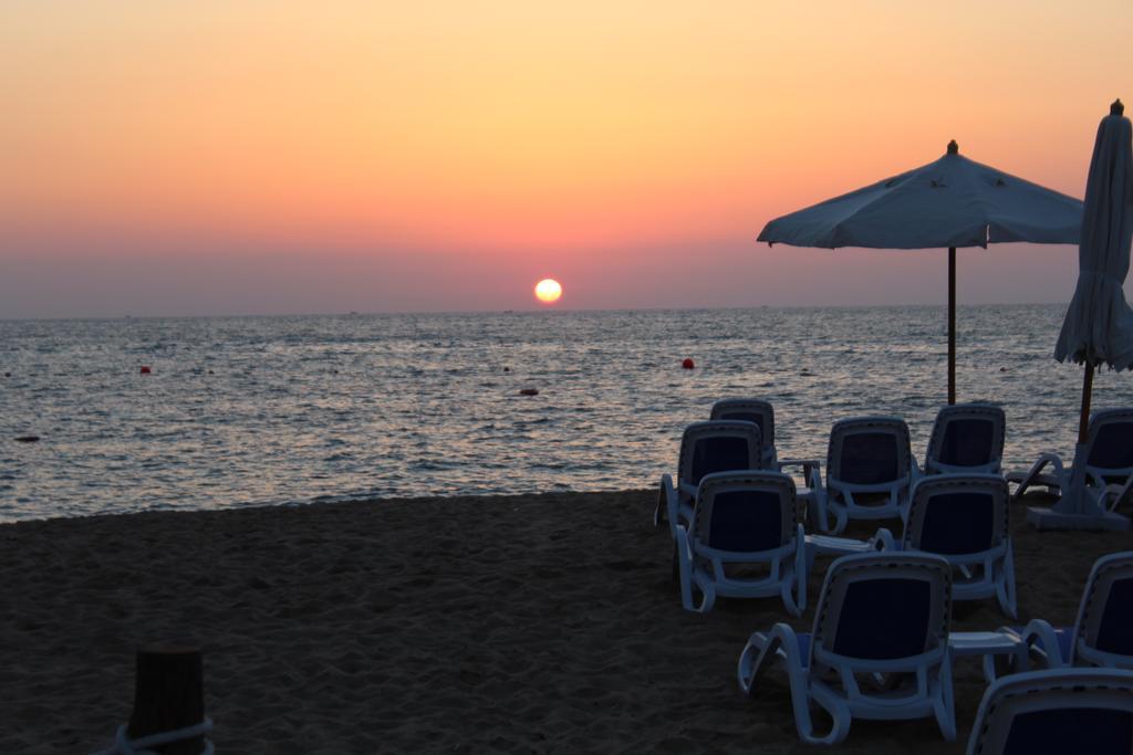 Tolip Hotel Alexandria Exterior photo The beach at the resort